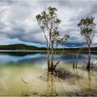 On the shore of lake wabby