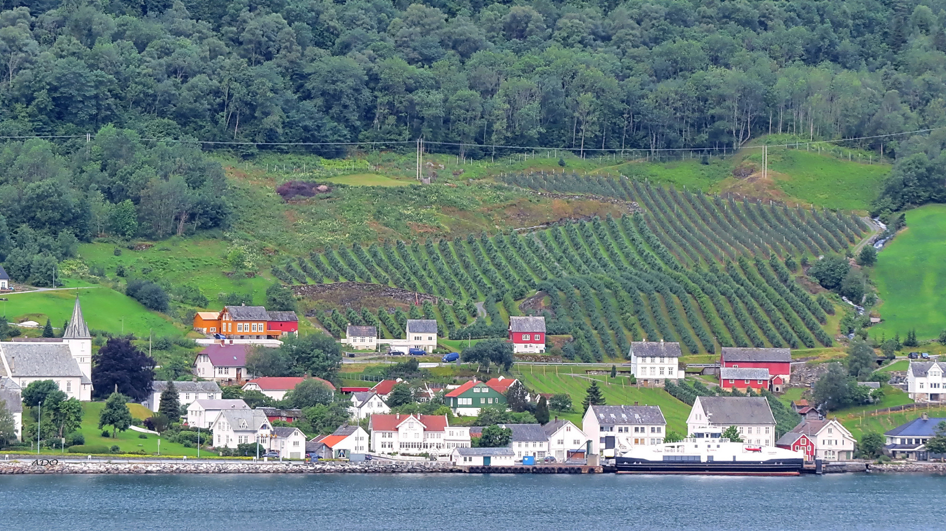 On the Shore of the Hardanger Fjord