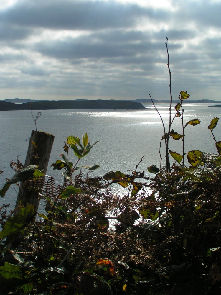 on the sky road (clifden)