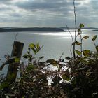 on the sky road (clifden)