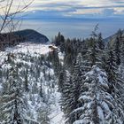 On the Snowshoe Trail