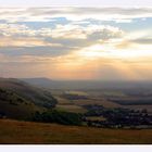 On the south downs way