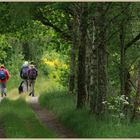 on the speyside way