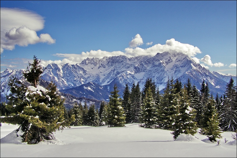 ON THE SUNNY SIDE OF THE ALPS