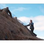 On the thatched roof