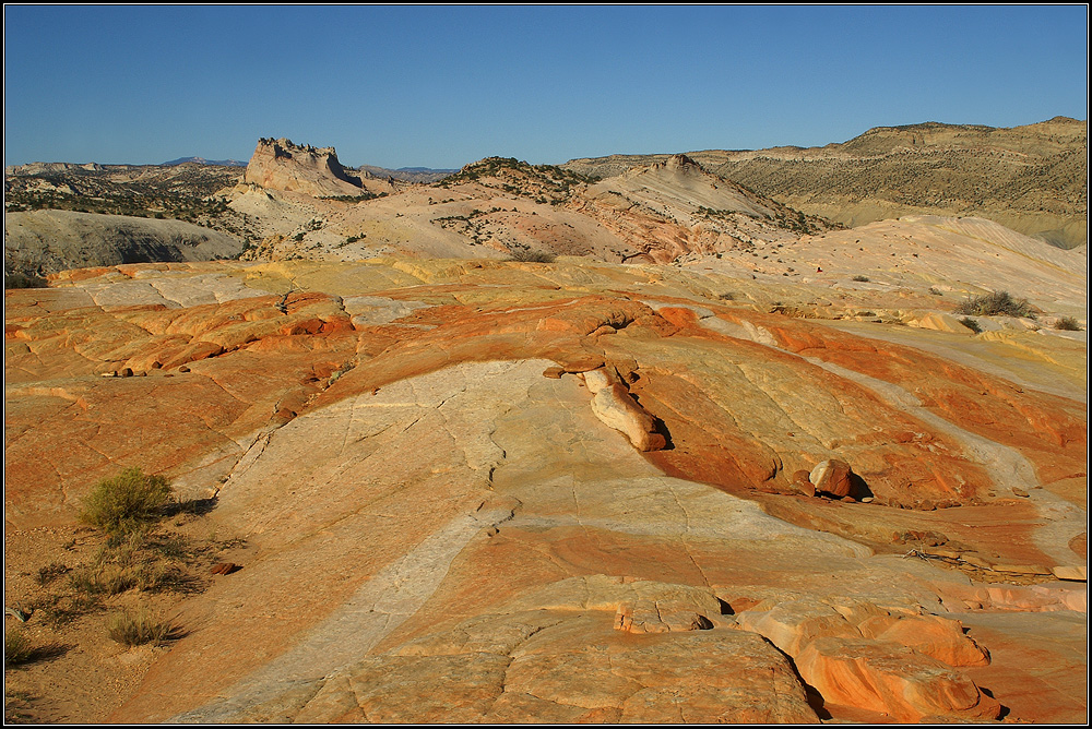 On the top of Yellow Rock