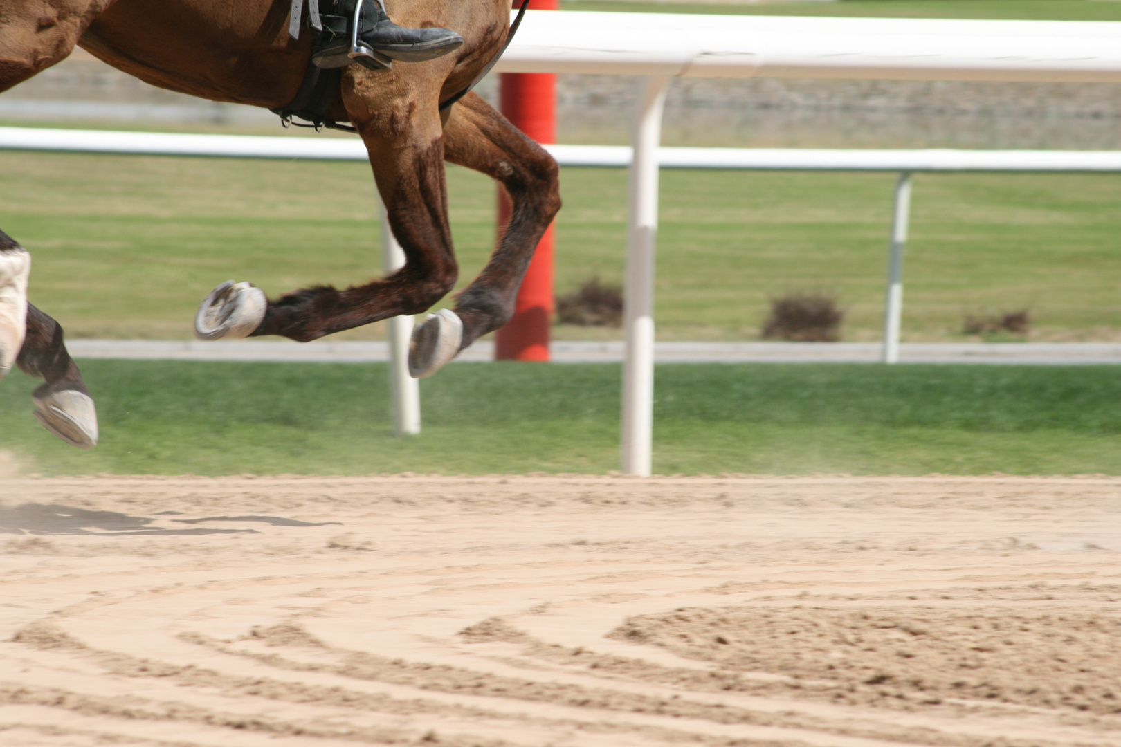 On the Track