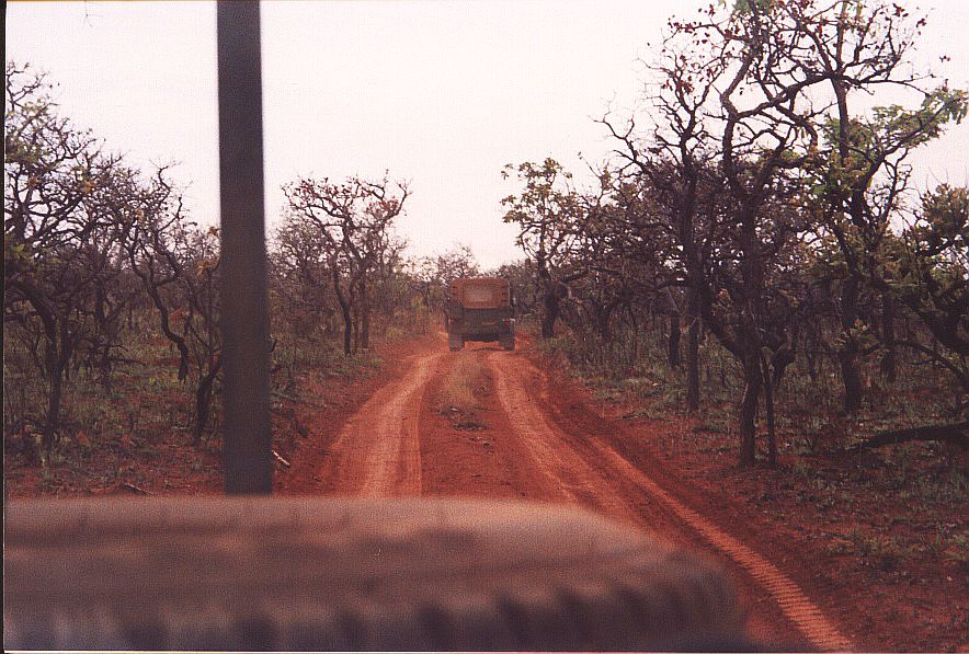 On the trail