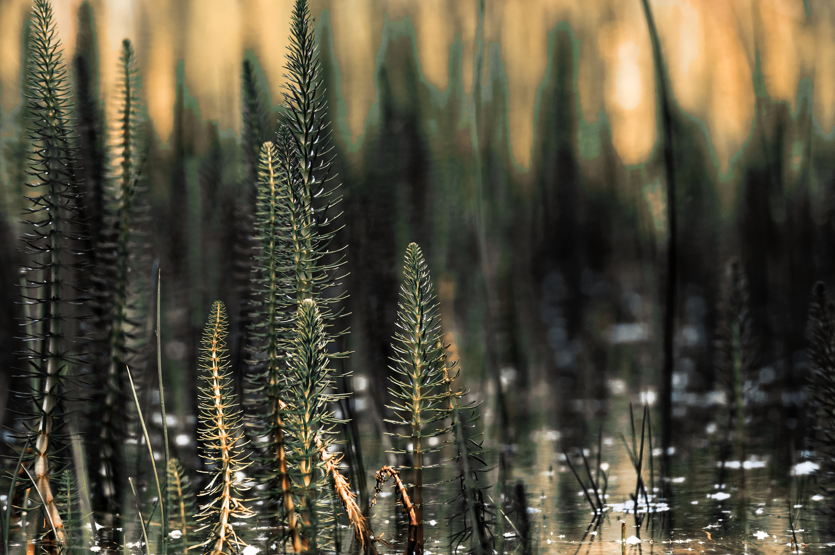 on the water - nochmal anders