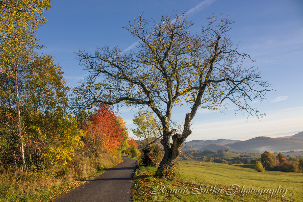 On the way of autumn (SK)