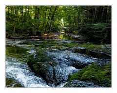 On the way to Dingmans Falls