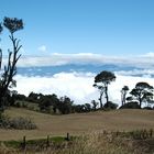 On the way to Irazu volcano