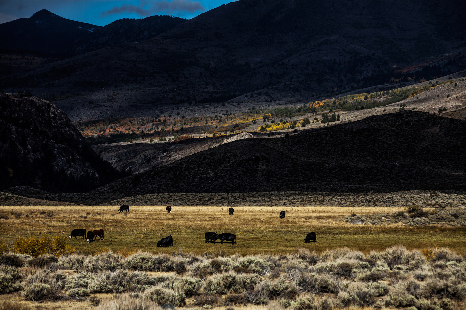 on the way to mono lake