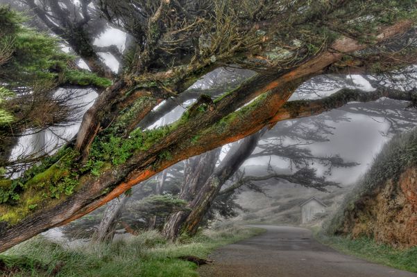 On the way to Point Reyes