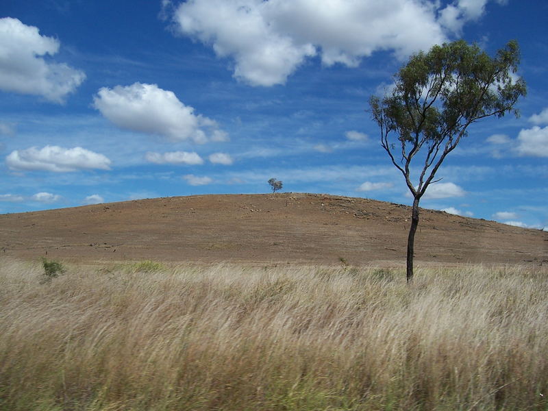 On the way to Rockhampton