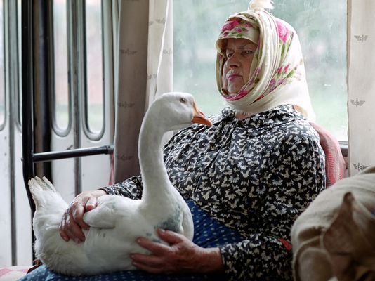 On the way to the market