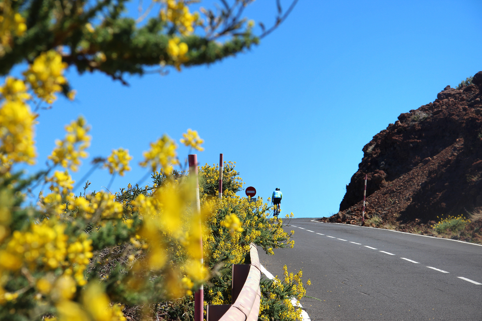 On the way to the Top  -  La Palma