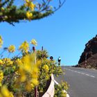 On the way to the Top  -  La Palma