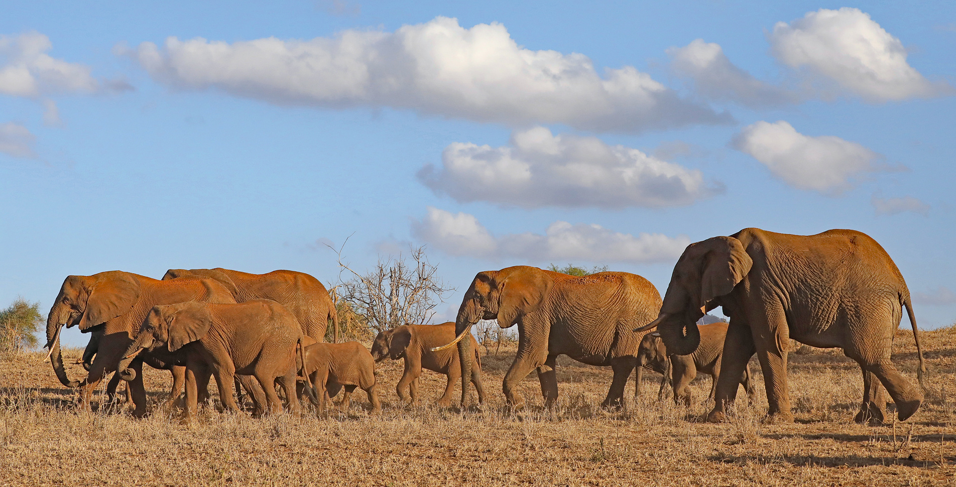 On the way to the waterpoint