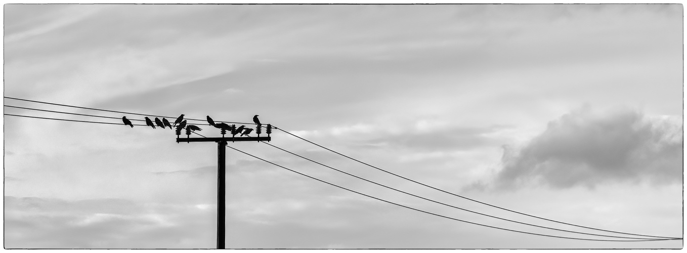 on the wire