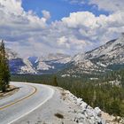 On Tioga Road