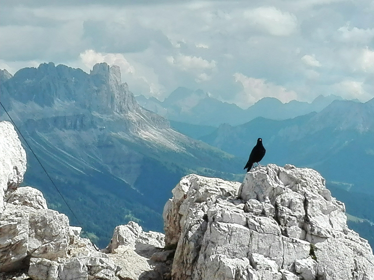 "on top"  ~ 2500 m, Seis (Südtirol)