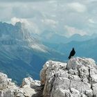 "on top"  ~ 2500 m, Seis (Südtirol)