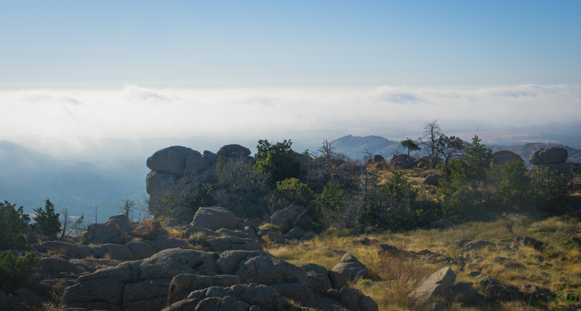 on Top of Elk Mountain