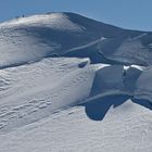 ON TOP OF THE ALPS