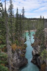 On Top of the Athabasca River