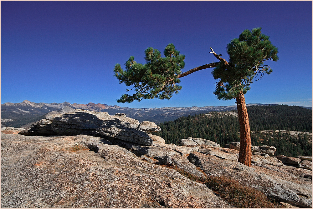 On Top of the Rocks