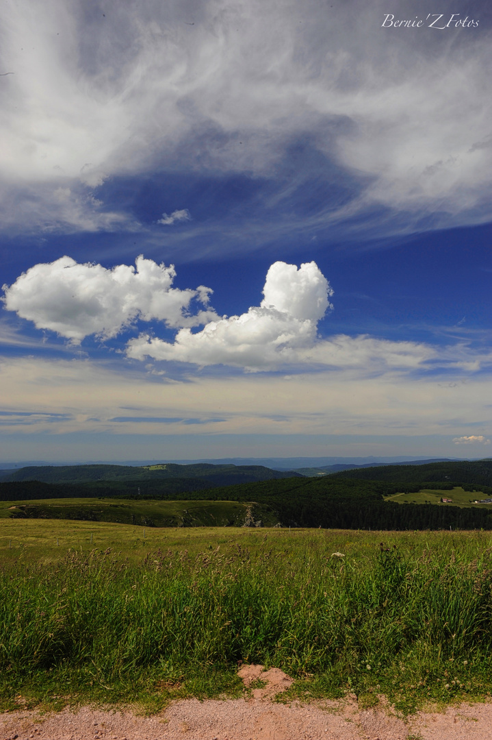 on top of the Vosges