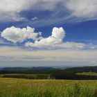 on top of the Vosges