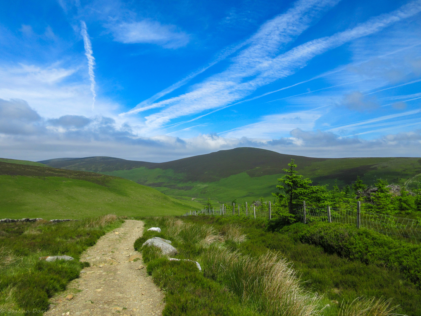 On Top of the Wicklow Mountain