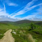 On Top of the Wicklow Mountain