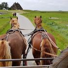 ....on Tour auf HALLIG HOOGE....