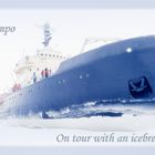 On tour with an icebreaker 2