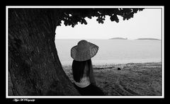 On under the Big Tree @ Big Buddha Beach 2