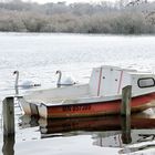 on va faire un tour en bateau ?