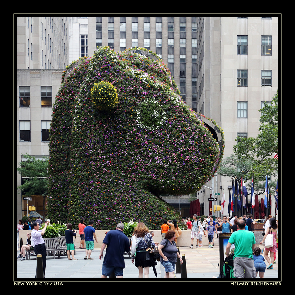 On W 49th Street, Manhattan, New York City / USA Foto & Bild north