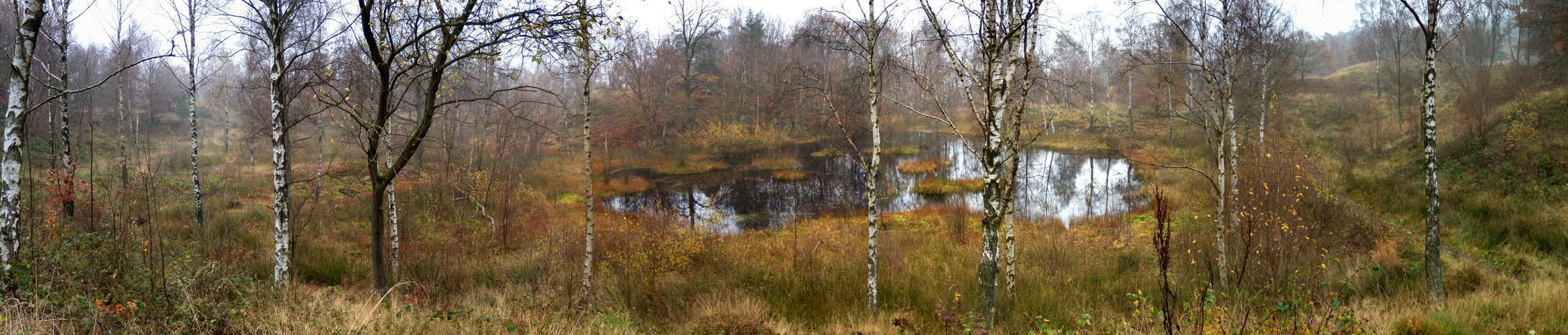 Ona Mosse in Kullaberg Naturreservat