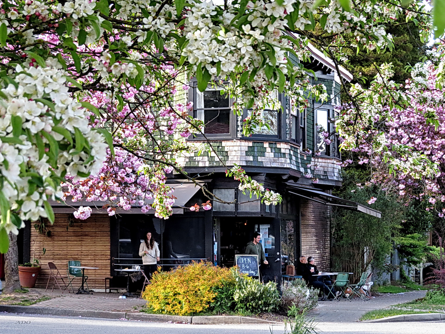 Once a Corner Grocery Store  (16)