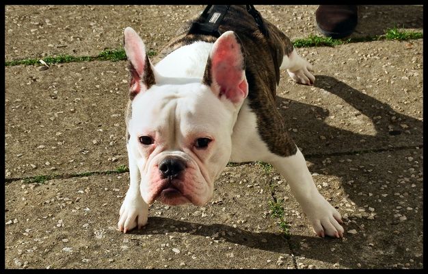 Once more, I hate photographers