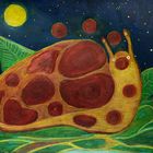 " once upon a starry night a new slurtle was born... "