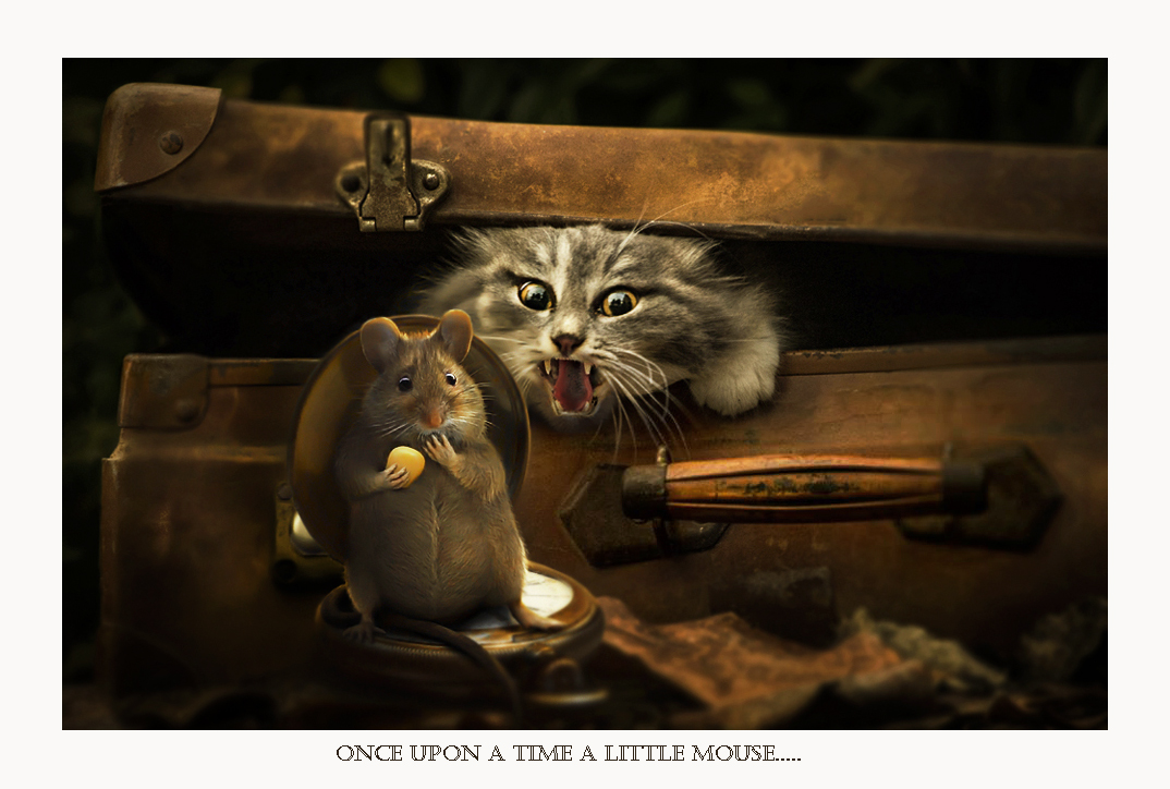 Once upon a time a little mouse...