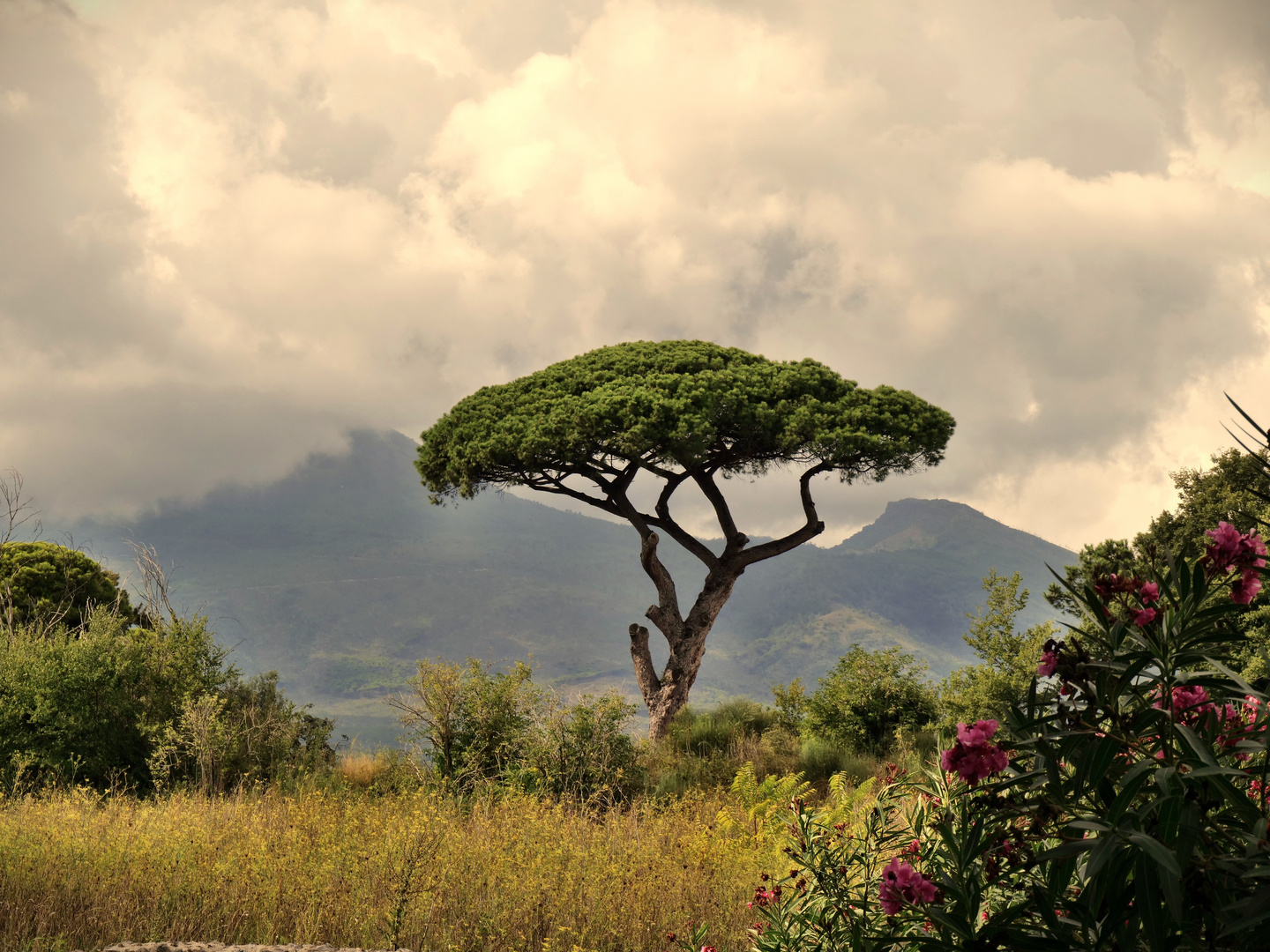 Once upon a time in Pompeji - Part II