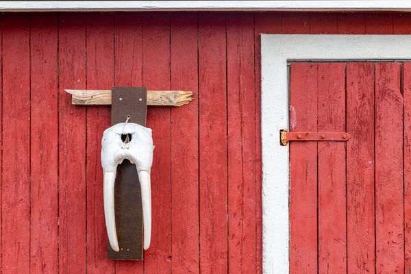 Once Upon A Time In Saqqaq (5)