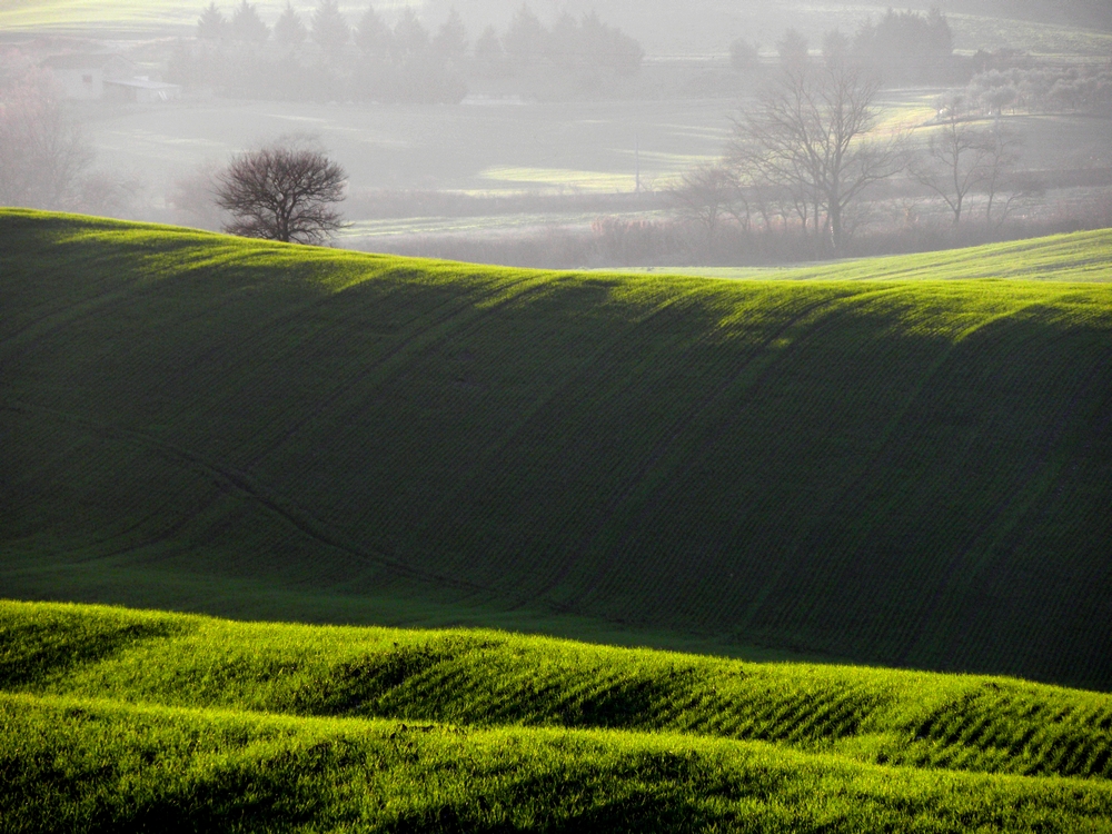 onda verde