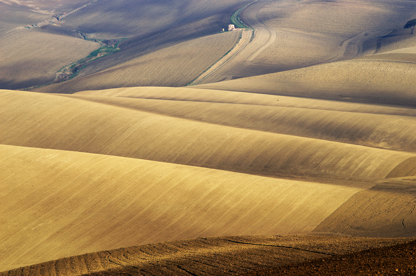 ONDE DI GRANO
