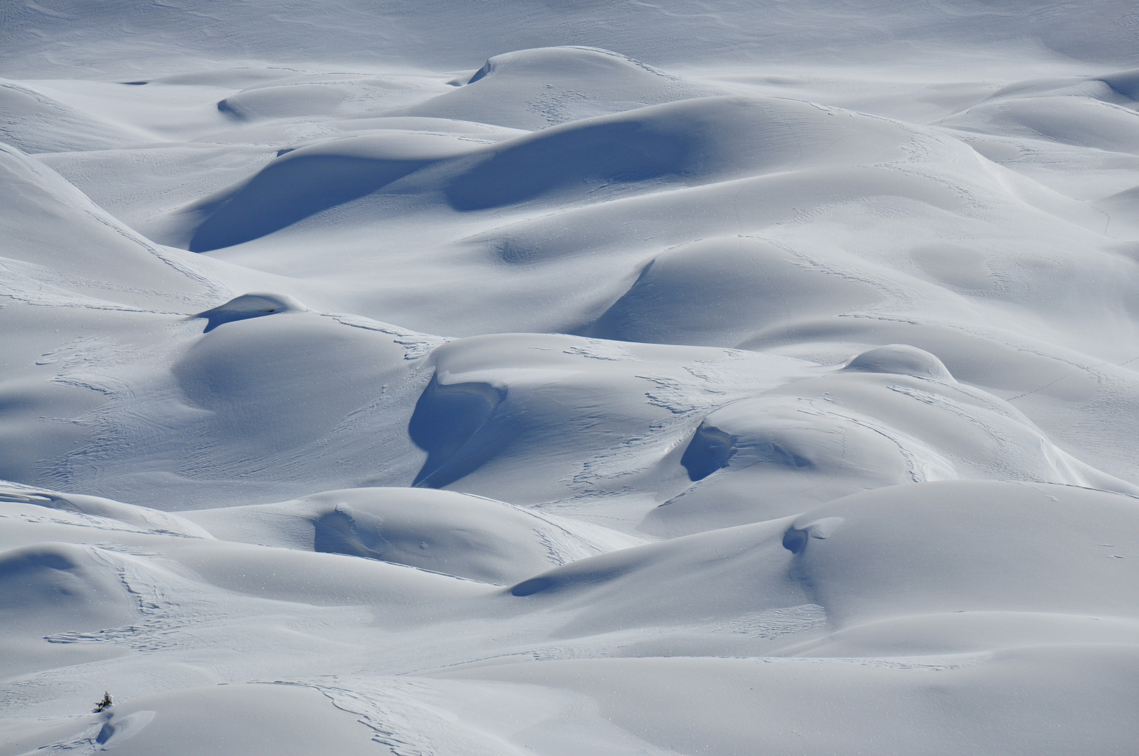 Onde di neve